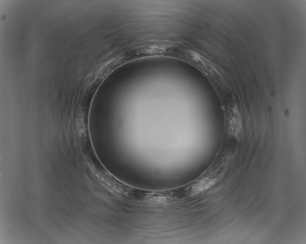 X0000078260620200611031204