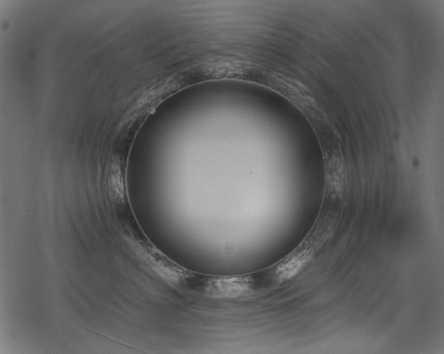X0000078260622200611031204