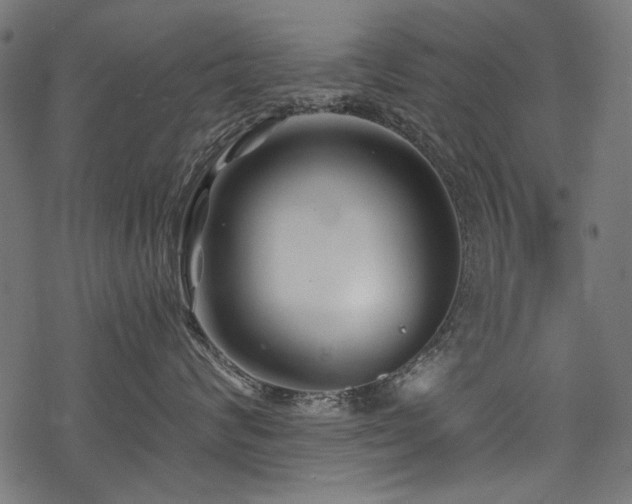 X0000078260624200611031204