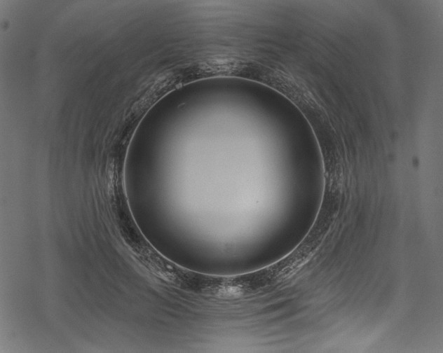 X0000078260647200611031203