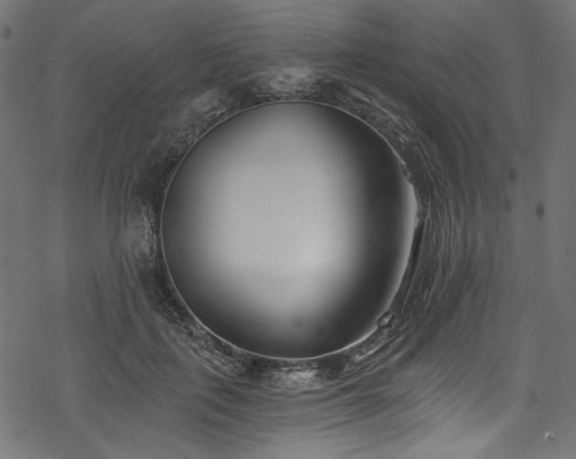 X0000078260651200611031203