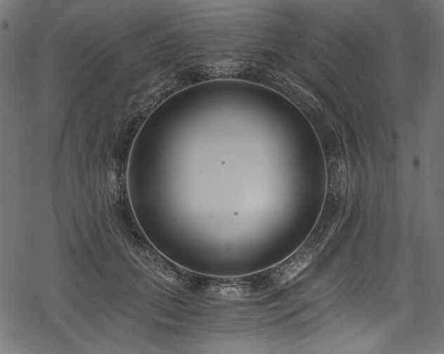 X0000078260655200611031204