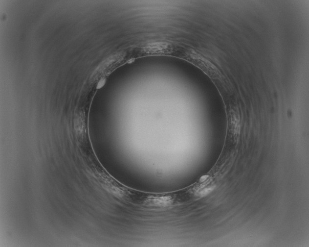 X0000078260665200611031204