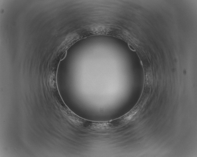 X0000078260671200611031204