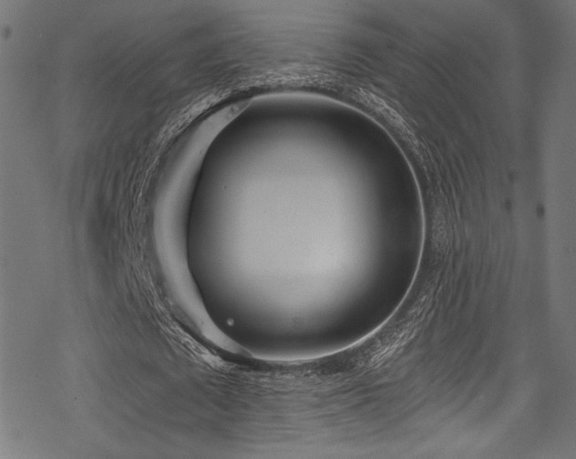 X0000078260673200611031203
