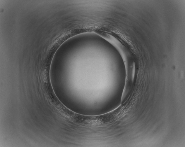 X0000078260689200611031203