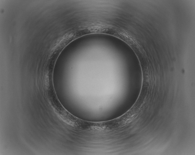 X0000078260690200611031203