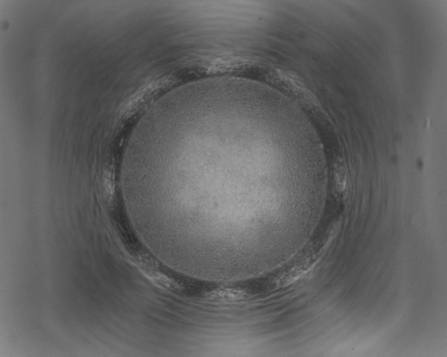 X0000078260691200611031203