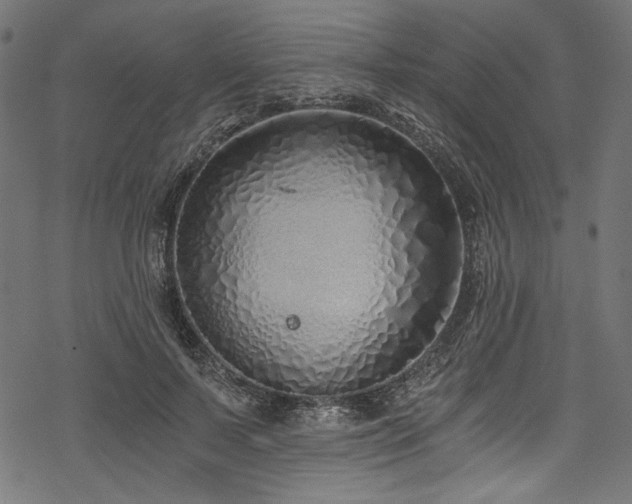 X0000078260695200611031203