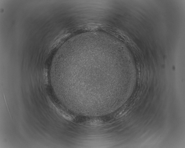 X0000078260696200611031203