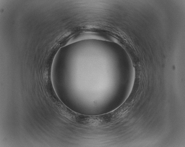 X0000078260697200611031203