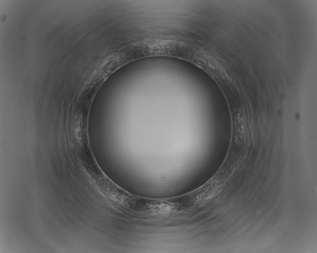 X0000078260698200611031203