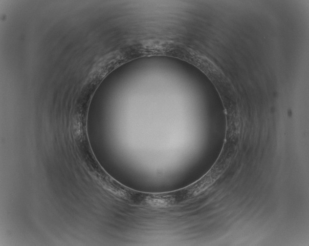 X0000078260706200611031202