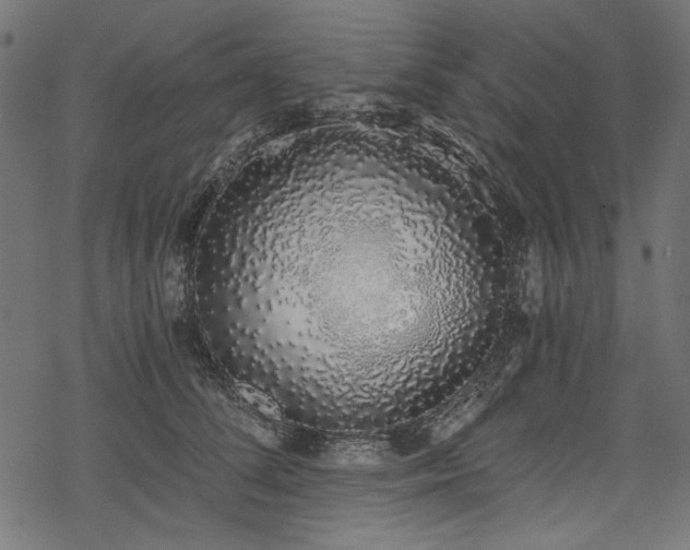 X0000078260708200611031202