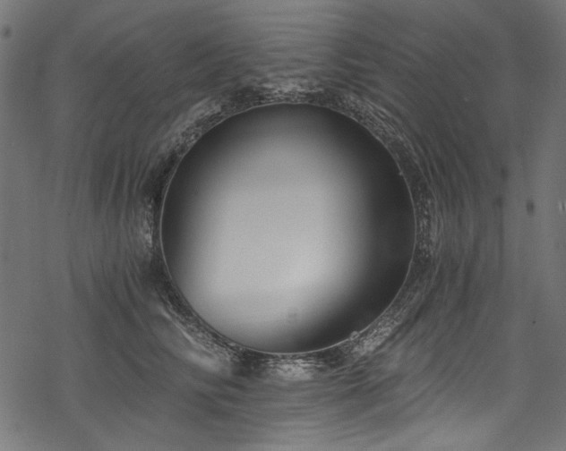 X0000078260710200611031202
