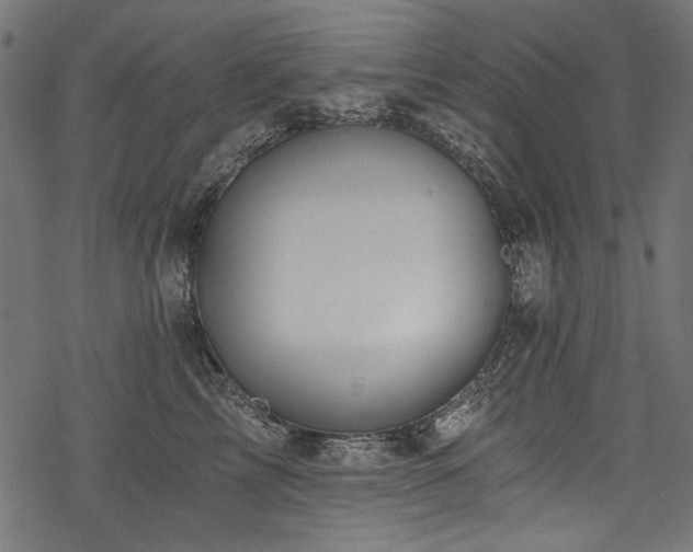 X0000078260713200611031202