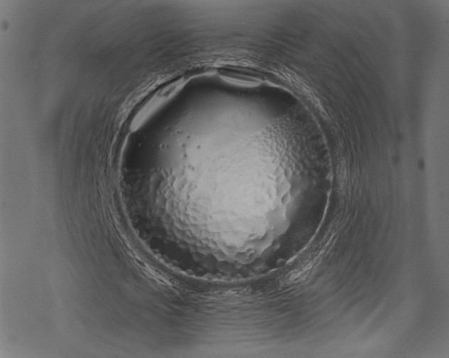 X0000078260721200611031201