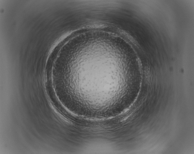 X0000078260726200611031202