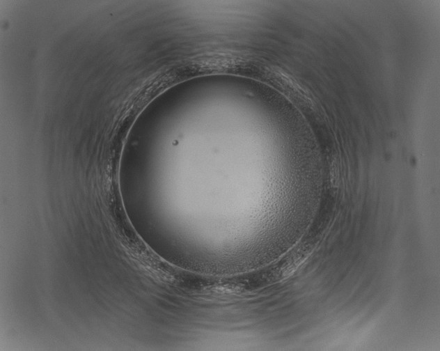 X0000078260737200611031202