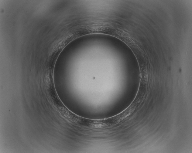 X0000078260746200611031202