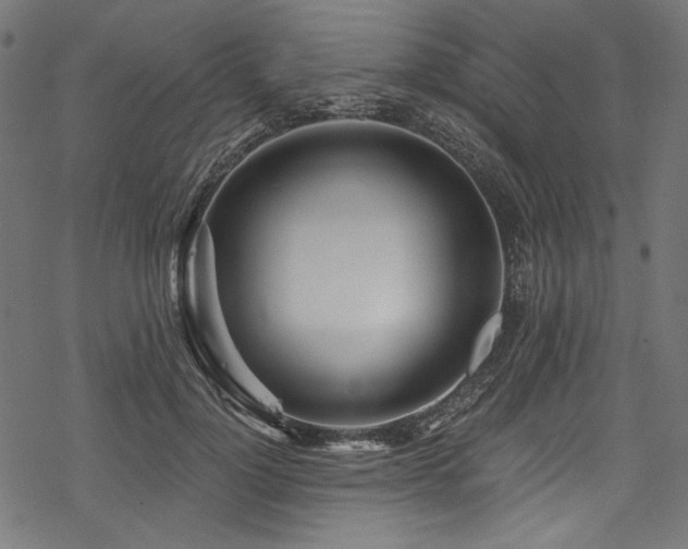 X0000078260748200611031202