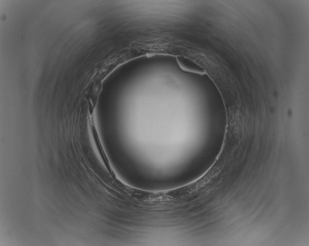 X0000078260752200611031202