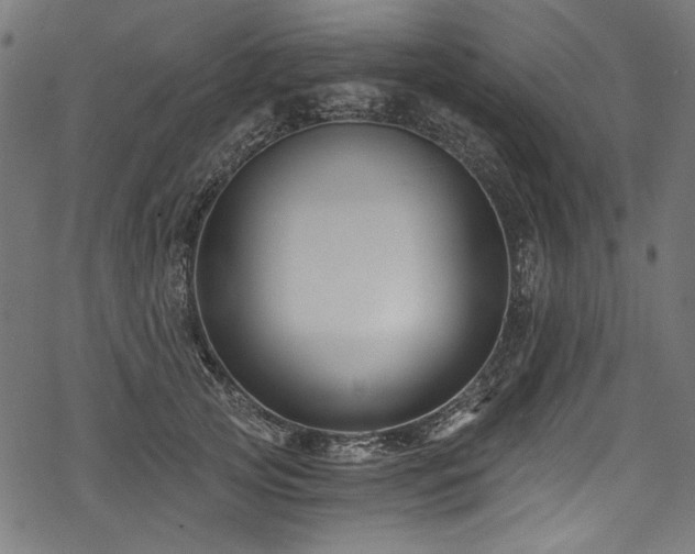 X0000078260753200611031202