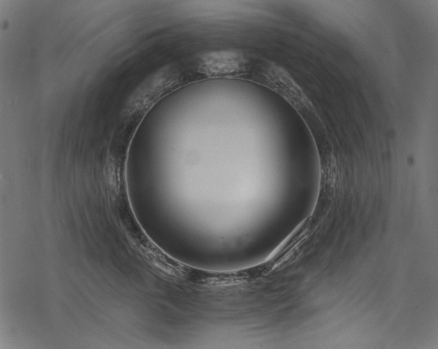 X0000078260763200611031202