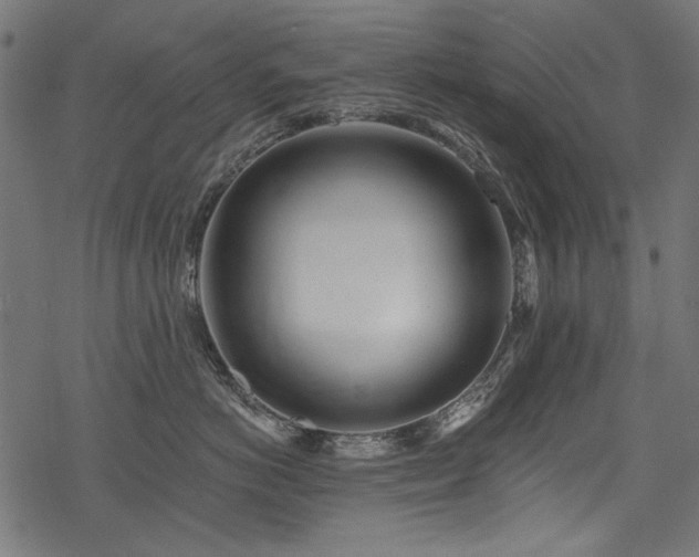 X0000078260766200611031202