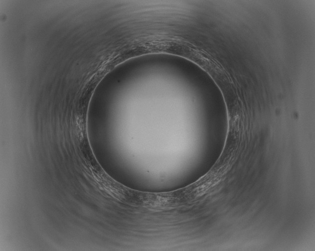 X0000078260772200611031201