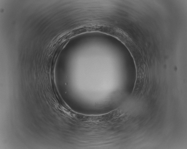 X0000078260773200611031201