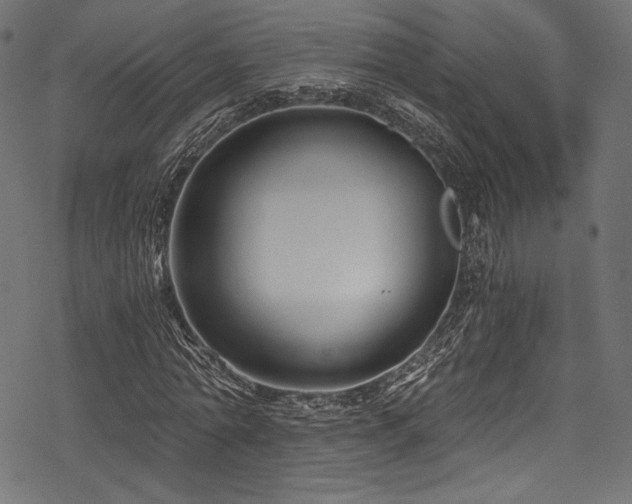X0000078260774200611031201