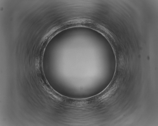 X0000078260778200611031201
