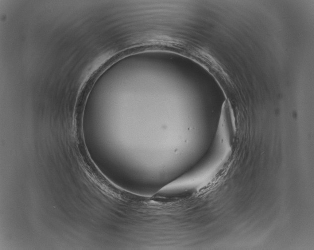 X0000078260780200611031201