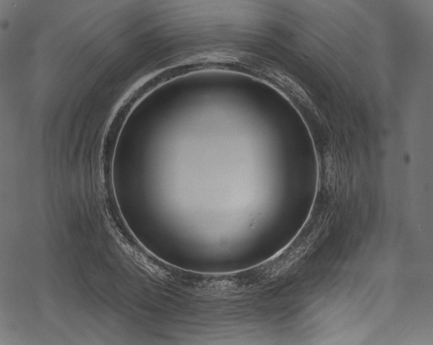 X0000078260784200611031201