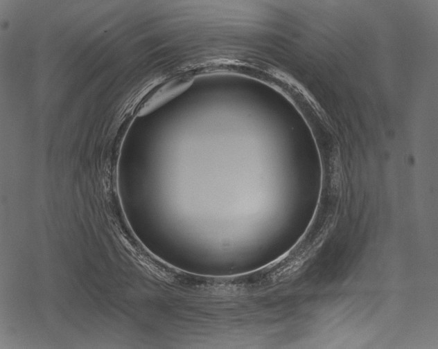 X0000078260785200611031201