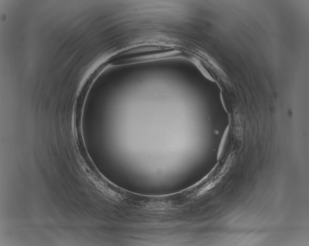 X0000078260788200611031201