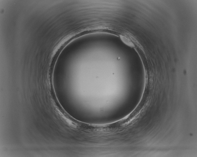 X0000078260789200611031201