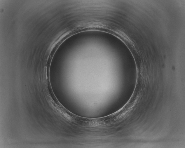 X0000078260790200611031201
