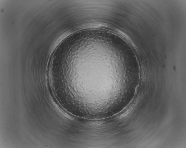 X0000078260802200611031201