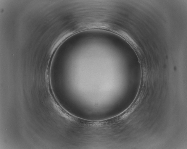 X0000078260814200611031201