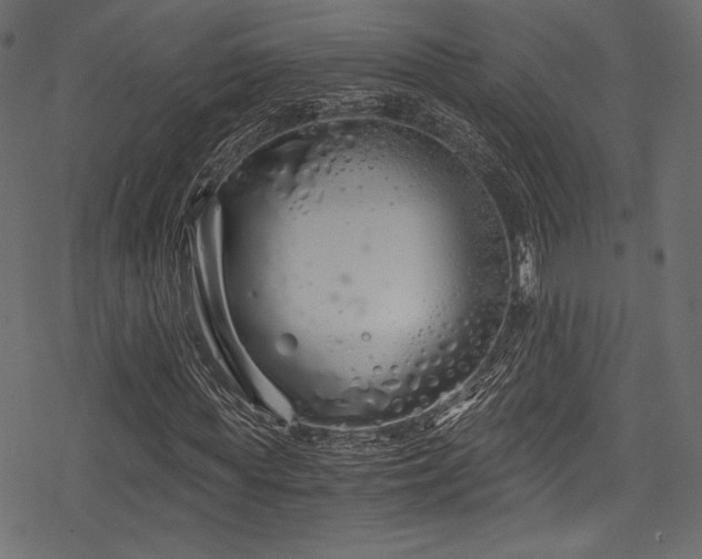 X0000078260819200611031200