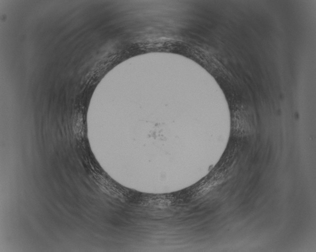 X0000078260820200611031200