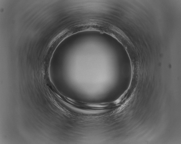 X0000078260826200611031200