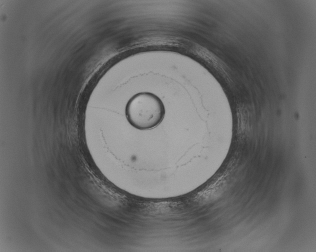 X0000078260828200611031200
