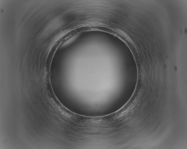 X0000078260831200611031200