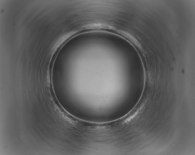 X0000078260839200611031200
