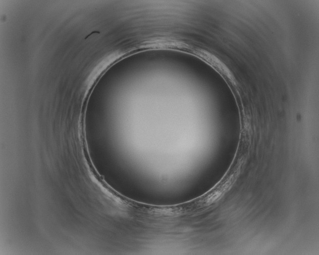 X0000078260855200611031201