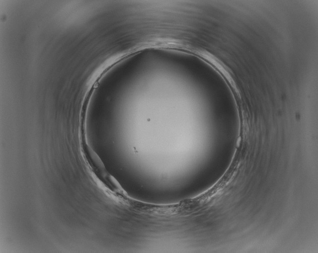 X0000078260861200611031201