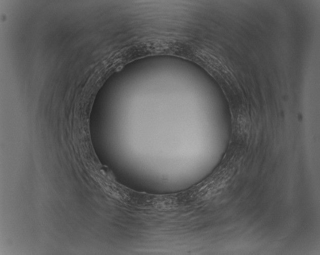 X0000078260865200611031200